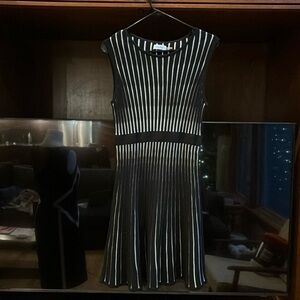 Calvin Klein Sleeveless Sweater Dress Black/White Vertical Stripe Fit & Flare PM